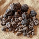 High John Root   The Conqueror Root   Wicca Pagan Curio Magick   1 Oz
