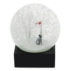 Black Labrador Retriever In Woods Snow Globe By Coolsnowglobes - Dog Home D  cor