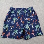 Chubbies Men   s Swim Trunks Shorts Mesh Lined Sz S Pockets Blue Multicolor Resort