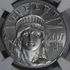2007 W Burnished Platinum Eagle 1 Oz Ngc Ms70