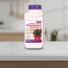 Bonide 951 Systemic House Plant Insect Control 8 Oz - 3 Pack