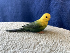 Green Budgie By Safari Ltd new W tag toy display cake bird parakeet parakeet