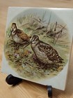 Vintage Antique Minton Printed Tile With Game Birds Design - 4  X 4 
