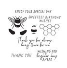 Happy Spring - March 2025 Paper Pumpkin Stamps  2 Sets New  Stampin up 