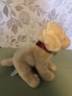 2018 Fao Schwarz 10  Golden Retriever Puppy Plush Stuffed Animal Missing Dog Tag