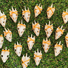 50pcs Real Turtle Skulls - Broken Taxidermy Specimens For Diy Craft Collectibles