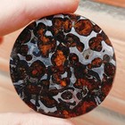Sericho Pallasite Meteorite Slice From Kenya Diameter 50mm