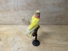 Parrot Parakeet  Bird Agapornis Roseicollis Lovebird  Taxidermy