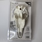 Skull Master For Deer Large Do It Yourself European Mount Kit New Mountain Mikes