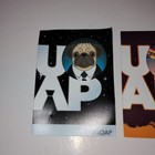 2025 Uoap Pin Epic Universe Burning Blades Tavern Button   Night Pug Frank Mib