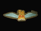 Ww2 British Royal Air Force Raf - Glider Pilot Wing - Embroidered Cloth Insignia