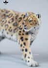 Jxk 1 6 Snow Leopard Model Resin Wild Animal Figure Statue Collection Decor New