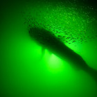 Underwater Fish Light 250w Double Natural Green Dock Light - Free Shipping