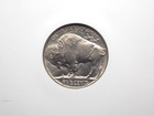 1934  p  Indian Head Buffalo Nickel 5c Ngc Ms65  009 Gem Bu Unc Ecc c  Inc 