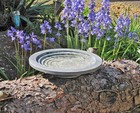 Aristotle Oasis Bird Bath   Drinker