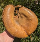 Rare  Early Vintage Yogi Berra Ahi Brand Catcher s Glove Model  5839 Ny Yankees