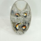King Pengins With Granite In Acrylic Display By Unique Canada 7 1 4 