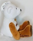Limited Treasures 50 States Coins Collection State Tan Bear Plush Vermont 8 5 