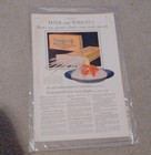 Blue Bird Electric Wringer Washing Machine Laundry Ad 1920 Lovely June Bride Art