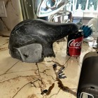 Vtg Canadian Carved Soapstone Inuit Eskimo Seal Sea Lion Statue Sculpture 11 lbs