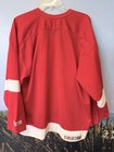 Vintage Detroit Red Wings Hockey Jersey Adult M Red Ccm 90s Blank Fan Nhl