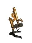 Vintage E  Leitz Wetzlar Adjustable Microscope 1927 Brass Microscope   Lenses