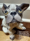  mint  Stunning Vintage  dj  Danish Porcelain Boston Terrier   Cute Bt Pup