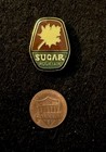Sugar Mountain Ski Pin Badge North Carolina Skiing Souvenir Travel Lapel