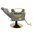 Luxury Salon Chair Styling Chair Hydraulic Reclining Barber Chair  Gray Gold