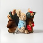 Gund Beatrix Potter Peter Rabbit Benjamin Bunny Plush Lot Of 3 One W  Hang Tag