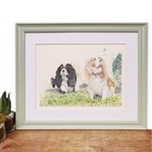 Spaniel Art Framed Original Dog Drawing Signed Cavalier King Charles Picture