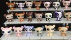 Bears Littlest Pet Shop  Pandas Lps Original Authentic Hasbro Vintage Animals