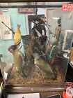 Stunning 6 Taxidermy Birds Sealed In Case  Made In Usa Please See Photos Details