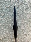 Old Rare Indonesian Spear   Blowgun From The 19th  Asian Collection  Timor