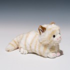 Takenoko 95007 Petit Dream Mini A Cat Beige Plush