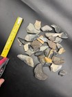 Megalodon Shark Tooth Partials - Broken Fossil Shark Teeth