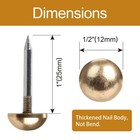Retro Solid Pure Brass Tacks As Antique Upholstery Nails For 1 2     Gold 