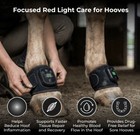 Horse Halo Mini Set Of 3 New In Box Red Light Therapy Horses Equine Arthritis