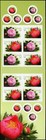Canada Stamps Booklet Of 10  Peonies   2262b  Bk369 Mnh