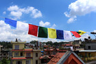 Usa Seller English Translation Tibetan Buddhist Homage Green Tara Prayer Flags