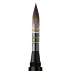 Da Vinci Brushes Casaneo Artist Brush 2 Black
