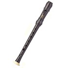 Yamaha Yrn-302b Sopranino 2-piece Plastic Recorder W  Pouch 