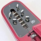 Peacock Harp Electric Nagoya Suzuki Taishogoto Taishokoto Taisho Ran Soprano