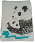 Panda Mom And Baby 2 Pc Set- 6 Blank Notecards And Magnet - New