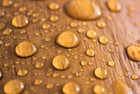 Natural Kote Nontoxic Soy-based Elite 501 Clear Wood Sealer