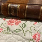 Antique 19thc  Grace And Walradt  Wausa  Nebraska 15  1888 Rare