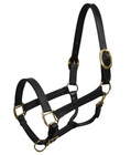 Horse Size Premium Triple Stitched Black Leather Halter W  Brass Hardware