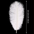 White Ostrich Feathers 24pcs Natural Bulk 10-12inch 25cm-30cm For Crafts Wedd   