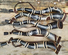 Brazilian Berrante Cowboy Horn     5 Cattle Horns     Handmade     75cm