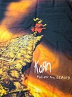 Actually Vintage Korn Follow The Leader Wall Tapestry Flag 1999 Made Italy 40x30